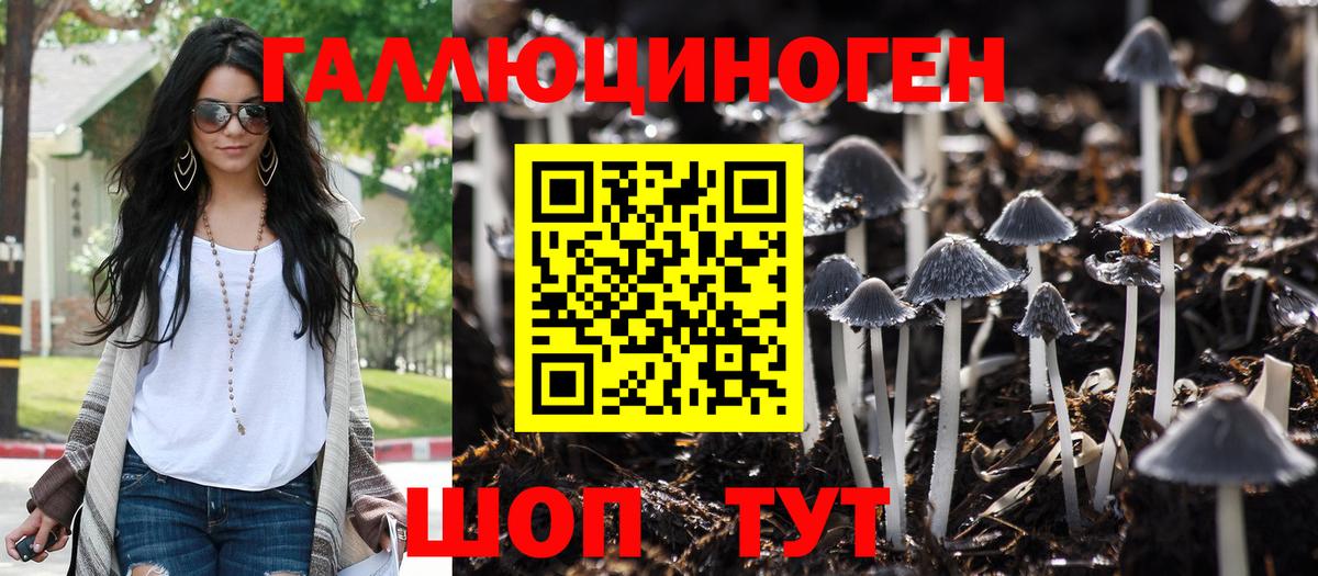 Псилоцибиновые грибы Cubensis  Вход с VPN  Галлюциногенные грибы MAGIC MUSHROOMS  Коломна 