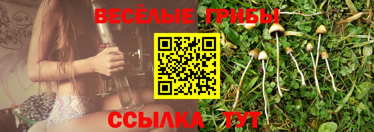 Псилоцибиновые грибы Psilocybe Коломна
